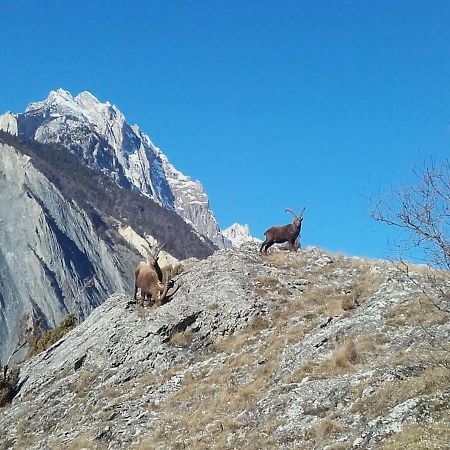 Location Vacances Saint Michel De Maurienne "Le Dahu" Apartment Luaran gambar